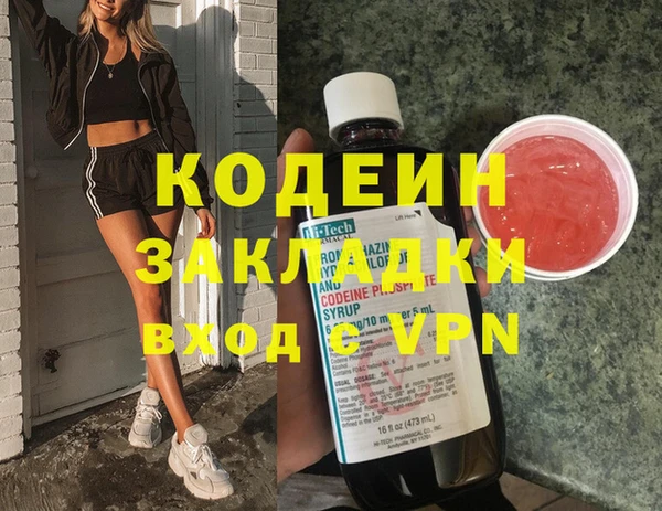 молекула духа Лабытнанги