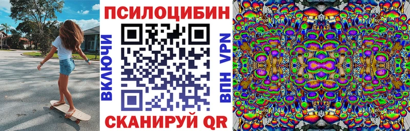 Галлюциногенные грибы Psilocybine cubensis Норильск
